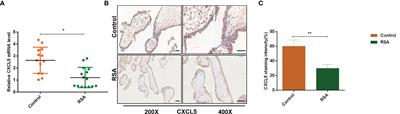 CXCL5 Downregulation in Villous Tissue Is Correlated With Recurrent Spontaneous Abortion